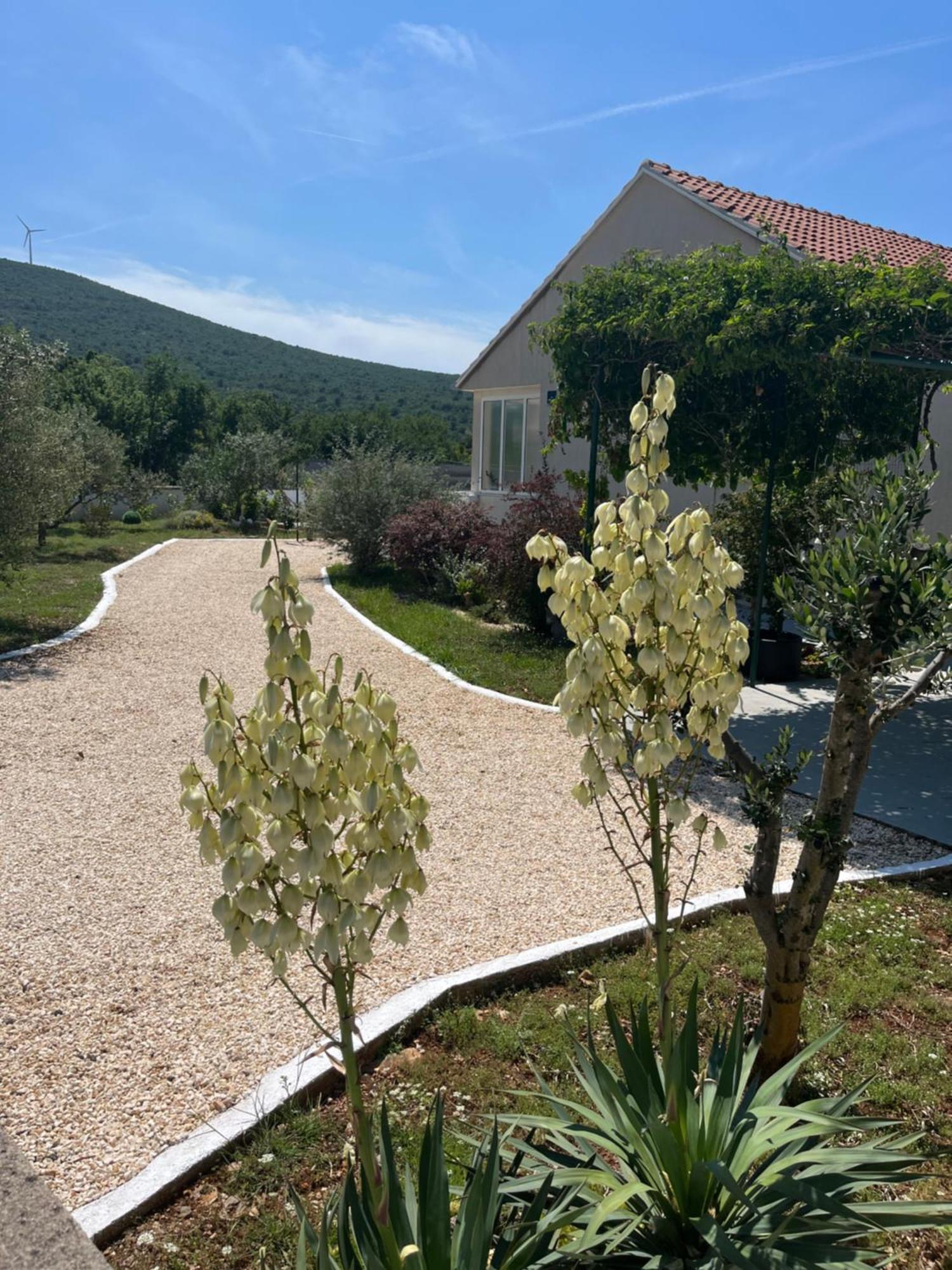 Villa Mediterranean Olive Waterfallskrka-Croatia à Gulin Extérieur photo